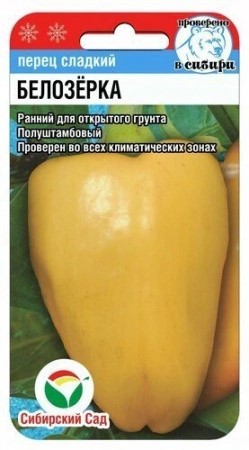 1b93rtpk9zssrkscj2h1jgcrafmuu60c