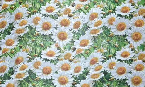 110