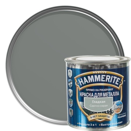 778822976_w640_h640_kraska-gladkaya-hammerite