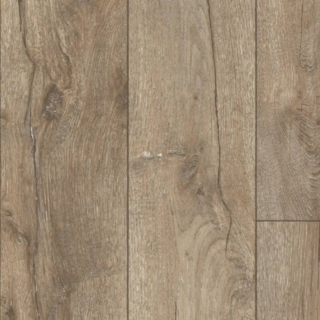 y4vnwkma90lsrxk6hk04rb1kfrs0e39v