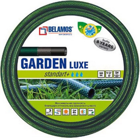 6031145165