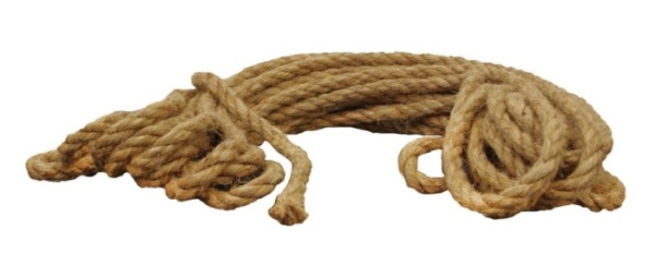 106