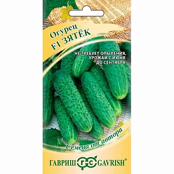 Огурец Зятек Гавриш