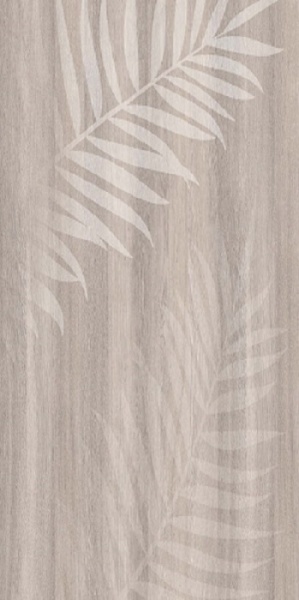 687 папоротник для сайта