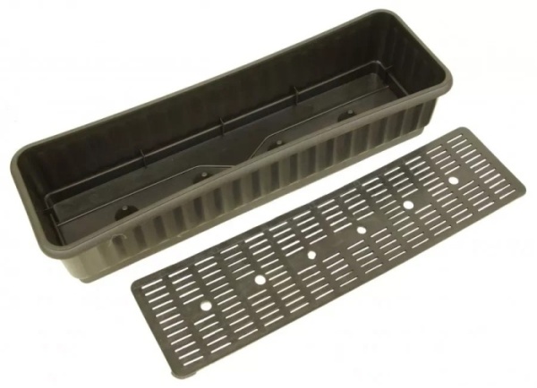 orig - 2026-01-26T162226.676