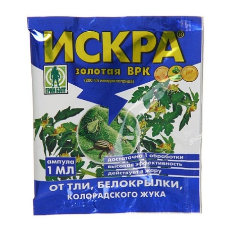 1567405566_iskra-zolotaja-1