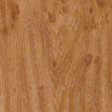 w908-dub-suchkovatyy-temnyy